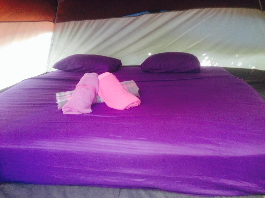 Turquesa Tulum Jungle Camping Hotel Екстериор снимка